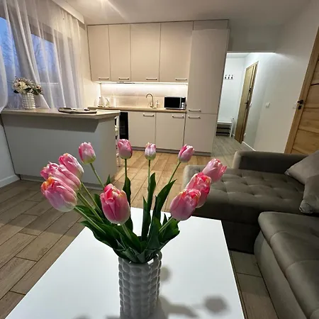 Biala Gran Apartamento Zakopane