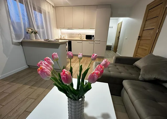 Biala Gran Apartamento Zakopane